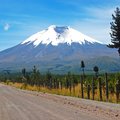The road leading to Cotopaxi