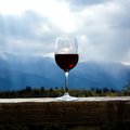 Wine with a view on both sides of the Andes