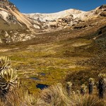 Medellín & the Los Nevados Trek - 8 Days