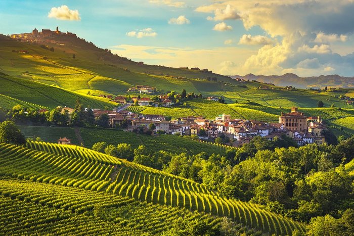 Food & Wine in Piedmont: Turin, Alba & Barolo - 7 Days | kimkim