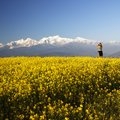 Views of the Annapurna Range from the hilltop village of Bandipur