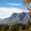 Cape Wine Lands in Autumn
