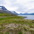 Highlights of the Icelandic Eastfjords