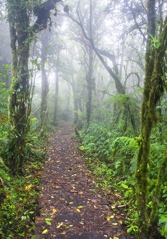 Explore La Fortuna and Monteverde