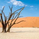 View of the desert in Namibia