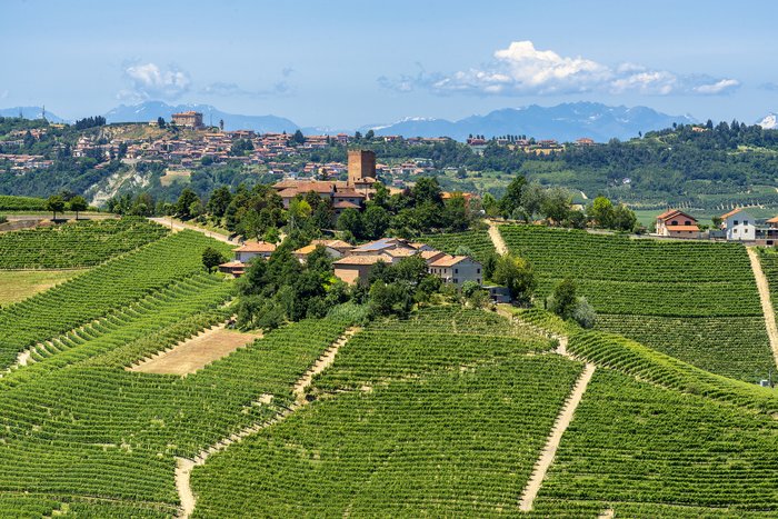 Langhe region