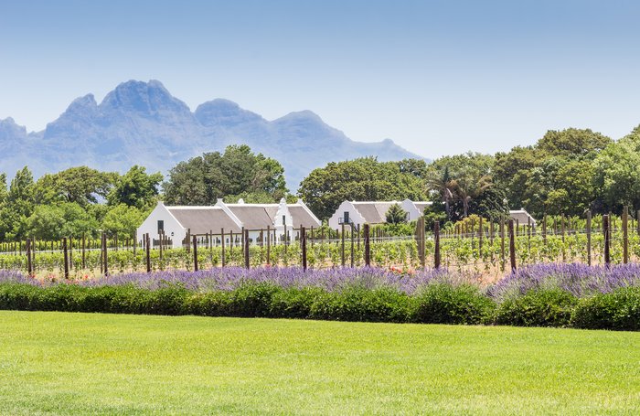 Farm in Franschhoek