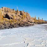 Views from Incahuasi island over the Uyuni Salt Flats