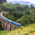 A train weaves its way through the hill country near Nuwara Eliya