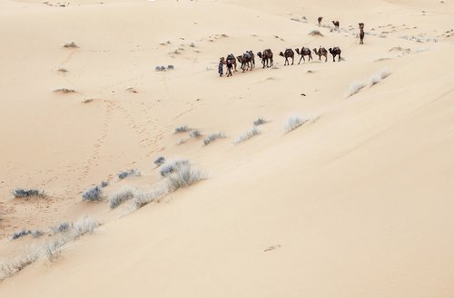 A caravan in the Moroccan Sahara