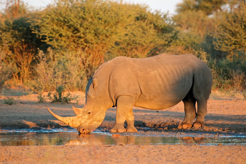 South Africa In September Travel Tips Weather More Kimkim