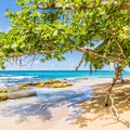 Punta Uva Beach on the Caribbean Coast