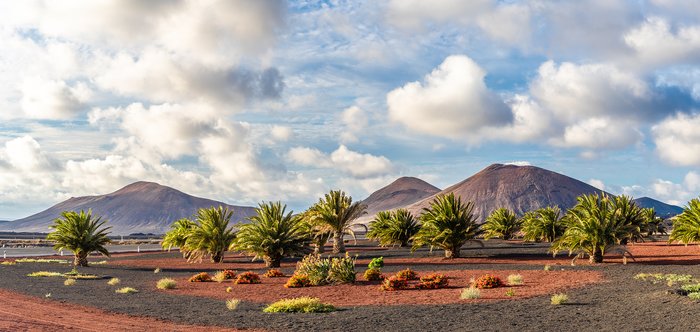 The Volcanoes of Timanfaya National Park