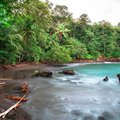 Hermit crab on the beach of Corcovado National Park