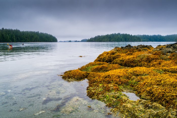 Broken Group Islands in the Pacific Rim