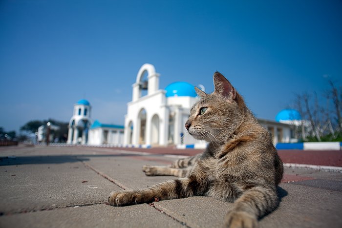 Lessons in relaxation