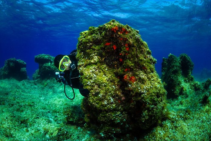 Underwater scene off the Dalmatian coast