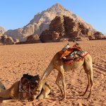 Wadi Rum Desert