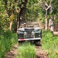 A safari vehicle in Chitwan National Park 