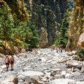 A rocky trail to Samaria Gorge