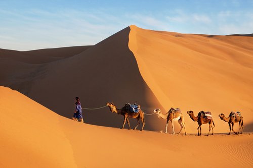 A caravan in the Moroccan Sahara