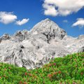 The iconic peaks of Mount Triglav are featured on Slovenia's flag