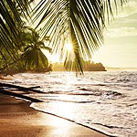 End the trip with a drive to the Pacific coast for some beach time