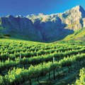 Food & Culture in Cape Town - 6 Days