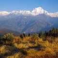 Dhaulagiri seen from Poon Hill