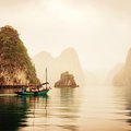 Fishing boat in Ha Long Bay