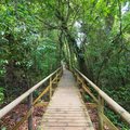 Hiking trail in Manuel Antonio National Park