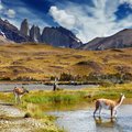 Torres del Paine National Park