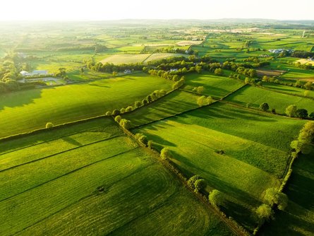 Emerald green scenery en route to Kerry