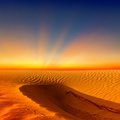 Venture to the Sahara Desert