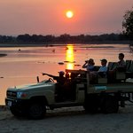 Safari in Zambia