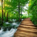 Wooden paths take you through Plitvice Lakes National Park