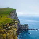 Látrabjarg Bird Cliffs