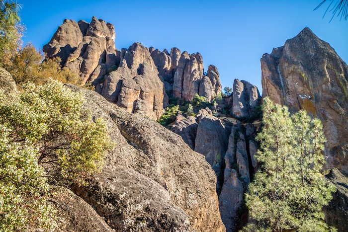 Rock formations at Pinnacles