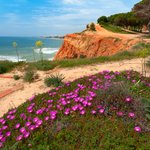 Beach paths along the Algarve's southern coast