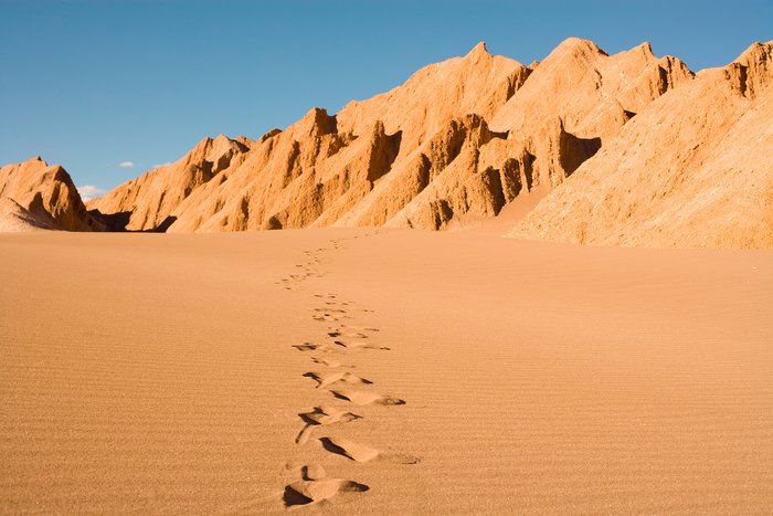 Explore Chile's Atacama Desert