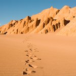 Explore Chile's Atacama Desert