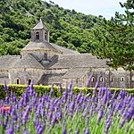 Lavender field in Provence