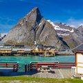 End the adventure with three nights in the Lofoten Islands