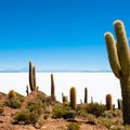 The great Uyuni Salt Flats