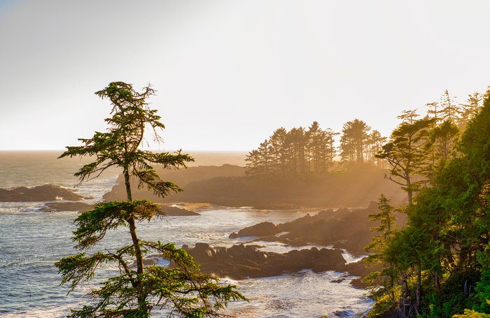 Sunset on the Wild Pacific Trail, Ucluelet