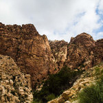 Explore the Dana Reserve's biodiversity (© Tala Dabain)