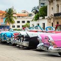 Classic cars lining the street in Havana