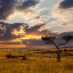 Safari in the vast South African countryside