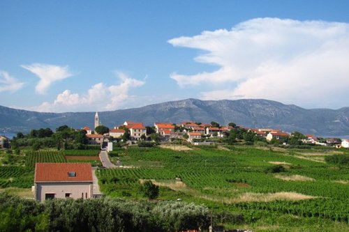 Lumbarda Vineyards