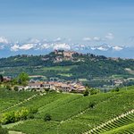 Piedmont Countryside